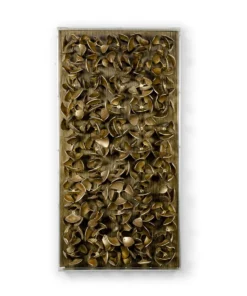 Palecek Adrift Coco Wall Decor Antique Brass Small