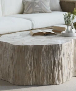 Palecek New Arrivals Camilla Fossilized Clam Coffee Table 8 Palecek New Arrivals Camilla Fossilized Clam Coffee Table