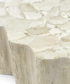 Palecek New Arrivals Camilla Fossilized Clam Coffee Table 9 Palecek New Arrivals Camilla Fossilized Clam Coffee Table