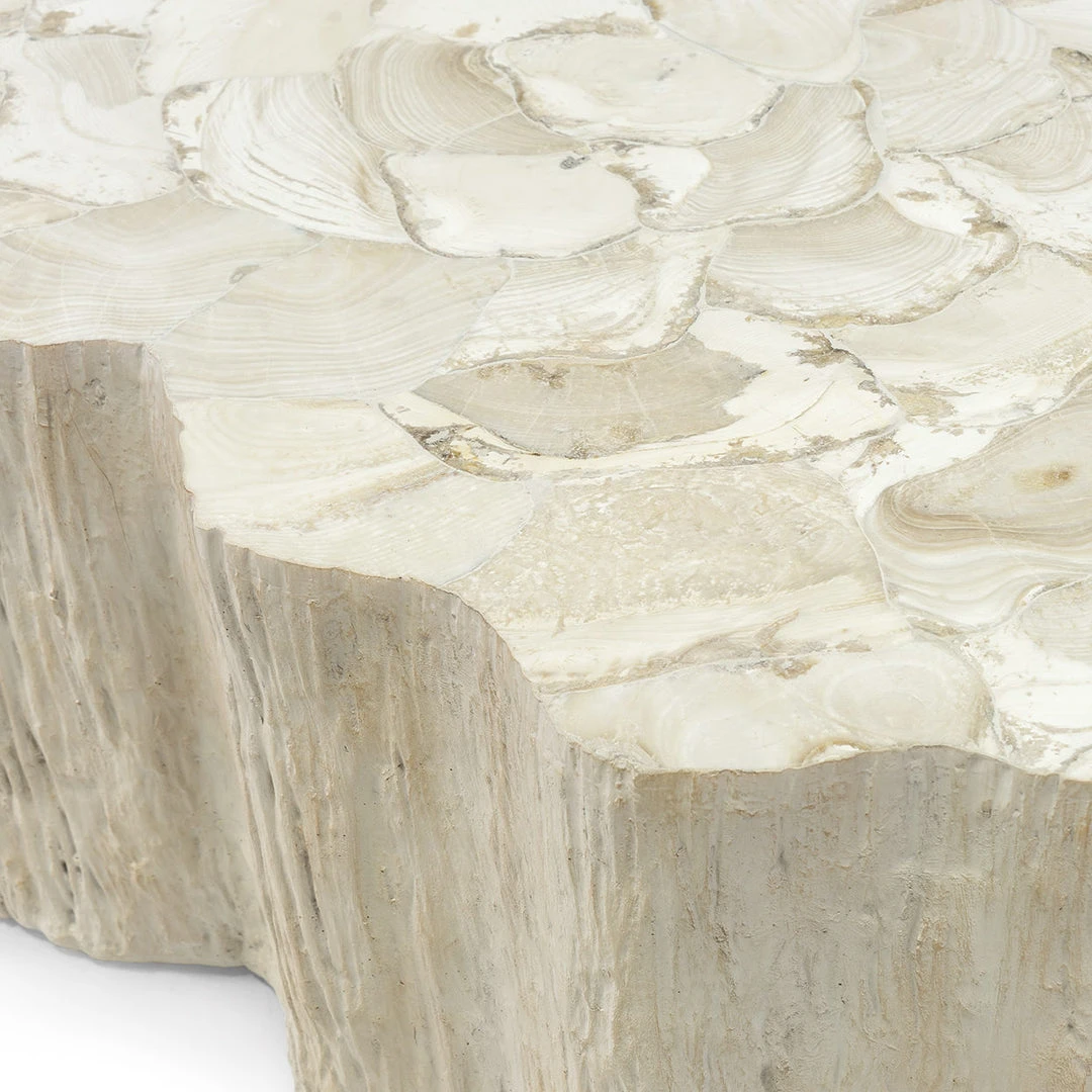 Palecek New Arrivals Camilla Fossilized Clam Coffee Table 4 Palecek New Arrivals Camilla Fossilized Clam Coffee Table