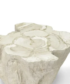Palecek New Arrivals Camilla Fossilized Clam Side Table 10 Palecek New Arrivals Camilla Fossilized Clam Side Table