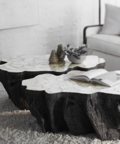 Palecek Chloe Fossil Clam Lava Coffee Table New Arrivals