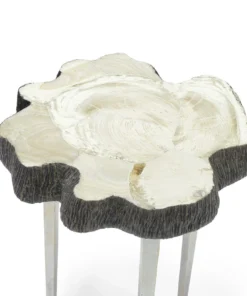 Palecek New Arrivals Chloe Fossil Clam Side Table 9 Palecek New Arrivals Chloe Fossil Clam Side Table