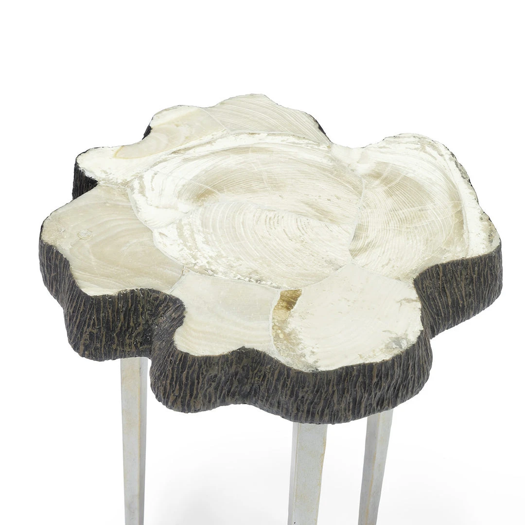 Palecek New Arrivals Chloe Fossil Clam Side Table 4 Palecek New Arrivals Chloe Fossil Clam Side Table