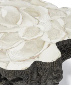 Palecek Chloe Fossil Clam Lava Coffee Table New Arrivals