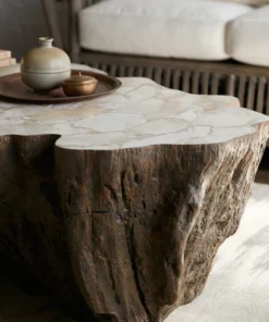 Palecek Chloe Fossil Clam Lava Coffee Table New Arrivals