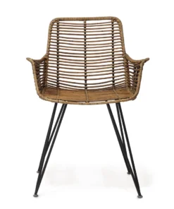 Palecek Hermosa Arm Chair New Arrivals