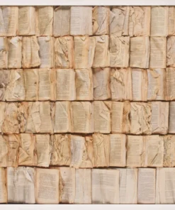 Natural Curiosities Cooking The Books Artwork White Shadow Box New Arrivals