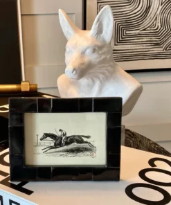 Pigeon And Poodle Lesina Frame Black Pen Shell