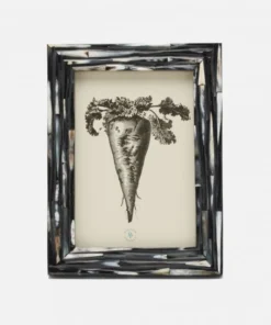 Pigeon And Poodle Winslow Frame Dark Mix Horn