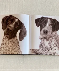 Clayton Gray Home Rover By Amanda Hedlund & Andrew Grant New Arrivals 15 Clayton Gray Home Rover By Amanda Hedlund & Andrew Grant New Arrivals