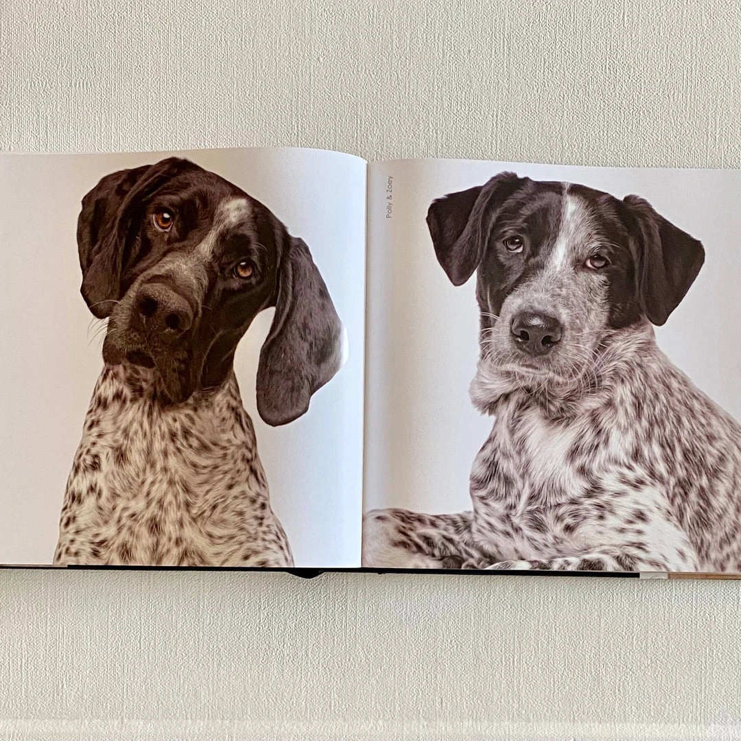 Clayton Gray Home Rover By Amanda Hedlund & Andrew Grant New Arrivals 8 Clayton Gray Home Rover By Amanda Hedlund & Andrew Grant New Arrivals