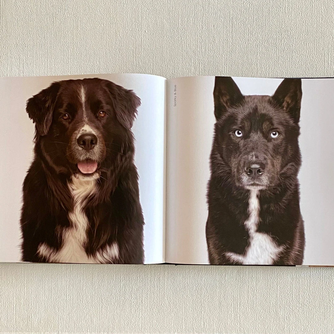 Clayton Gray Home Rover By Amanda Hedlund & Andrew Grant New Arrivals 6 Clayton Gray Home Rover By Amanda Hedlund & Andrew Grant New Arrivals