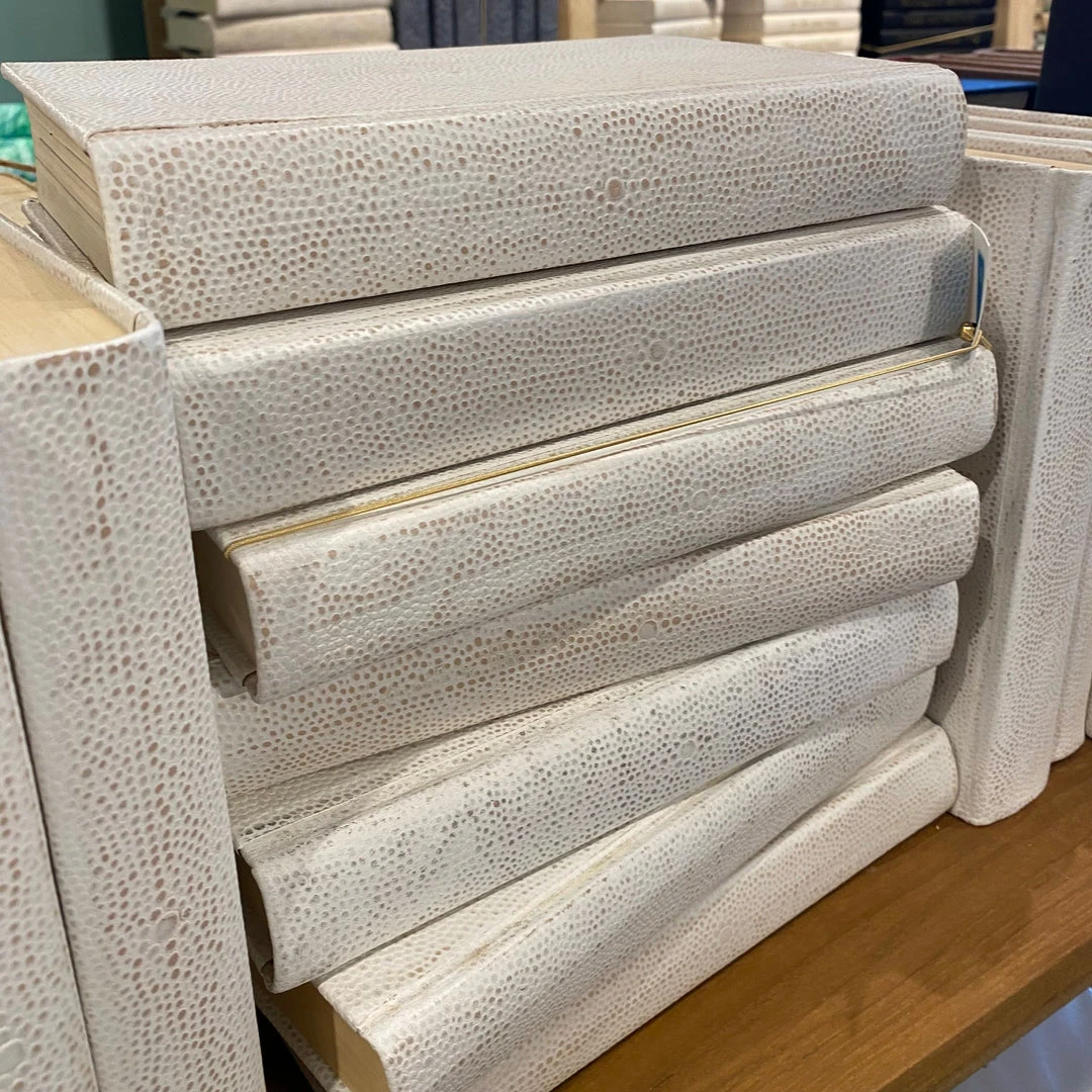 E Lawrence New Arrivals White Shagreen Books Set 2 E Lawrence New Arrivals White Shagreen Books Set