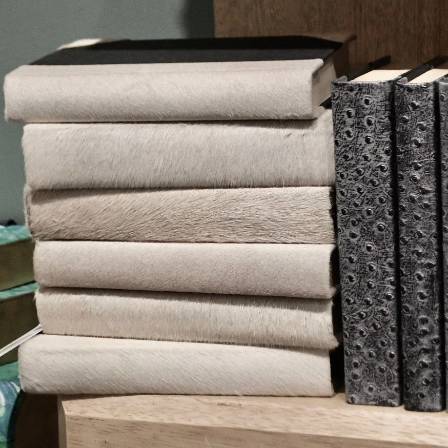 E Lawrence White Hide Book Set Of 6 New Arrivals 2 E Lawrence White Hide Book Set Of 6 New Arrivals